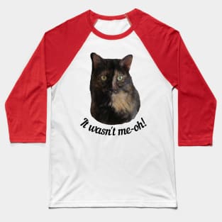 Tortoiseshell Cat Looking Guilty Baseball T-Shirt